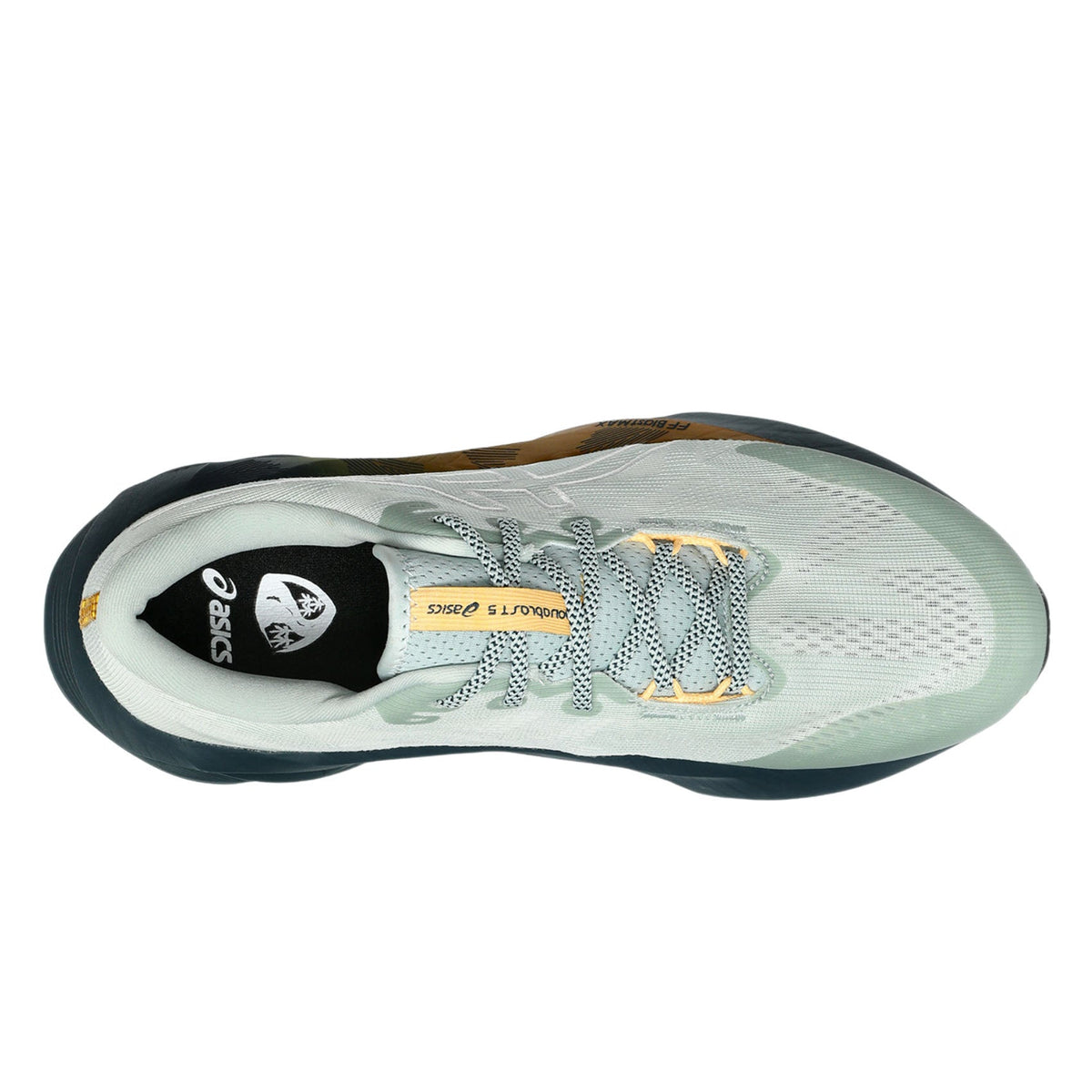 ASICS Novablast 5 TR para hombre